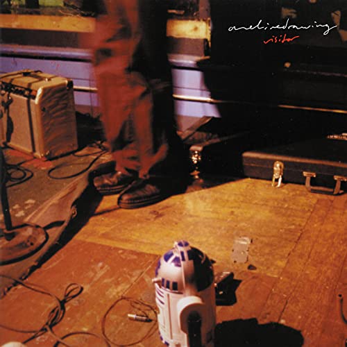 Visitor [Vinyl LP] von Jade Tree