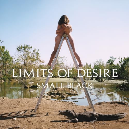 Limits Of Desire: 10th Anniversary - Coke Bottle Clear Vinyl [Vinyl LP] von Jagjaguwar