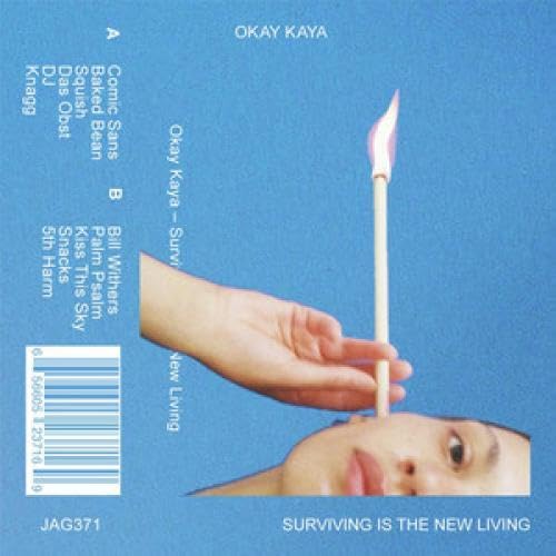 Surviving Is The New Living [Musikkassette] von Jagjaguwar