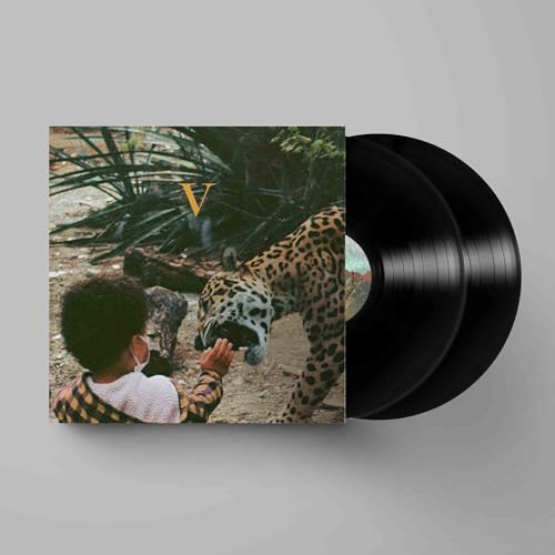 V [Vinyl LP] von Jagjaguwar