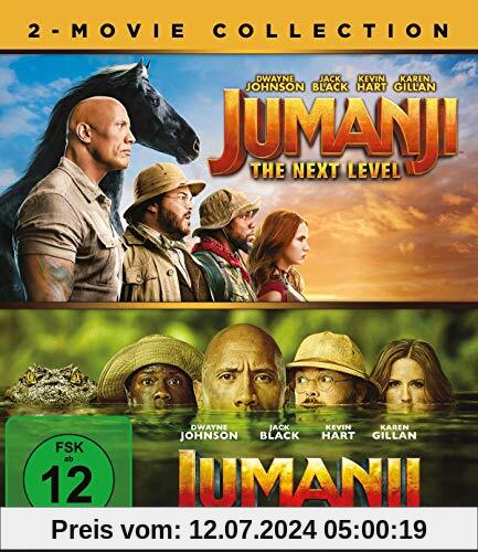 Jumanji: The Next Level / Jumanji: Willkommen im Dschungel - Blu-ray von Jake Kasdan