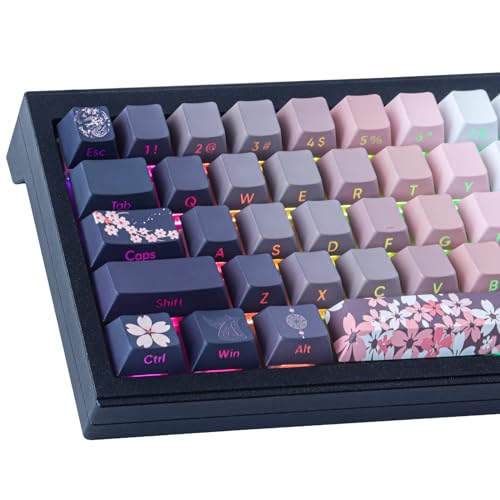 JakeTsai PBT Tastenkappen, 135 Tasten Double Shot Tastenkappen Seite graviert Transparent Keycap Set Cherry Profil Backlit Tastenkappen für Cherry MX Switch ASIN/ISO Layout Mechanische Tastatur von JakeTsai