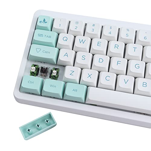 JakeTsai 132 Keys PBT Keycaps,Dye Sublimation XDA Profil Keycaps Mint Theme Keycaps ASIN Layout for MX Switches Mechanical Gaming Keyboard von JakeTsai