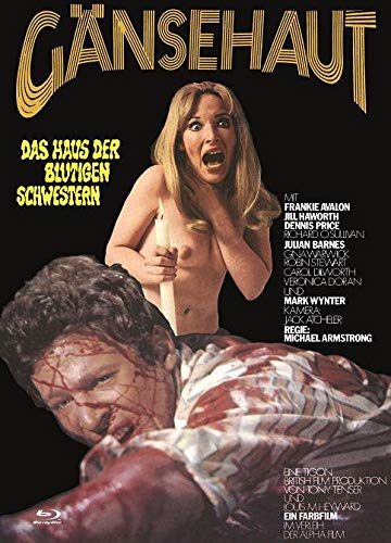 Gänsehaut - Das Haus der blutigen Schwestern - Gänsehaut - The Haunted House of Horror - Mediabook - Cover B - Limited Edition auf 222 Exemplare - X-Rated-Eurocult-Collection #64 (+ DVD) [Blu-ray] von Jakob GmbH