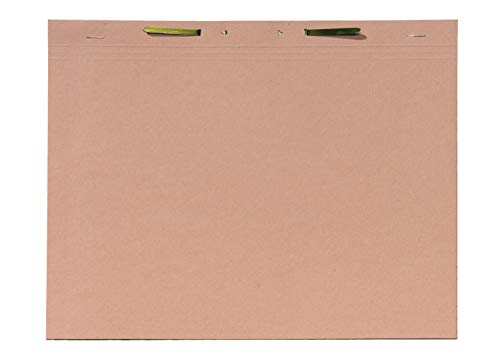 Jalema 2602025000 Einstellmappe mit Heftung Folio chamois, 100er Packung von Jalema