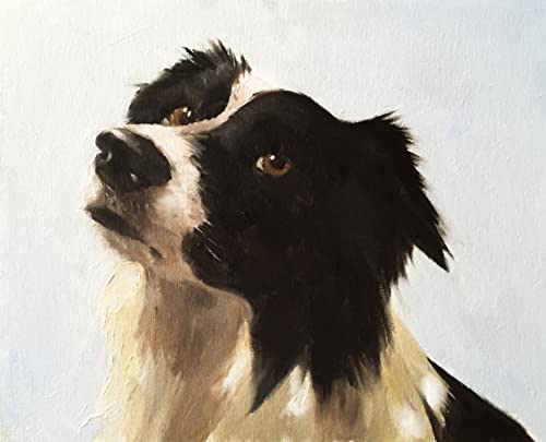 James Coates Border Collie Karte, Grußkarte mit Bild eines Schäferhundes, A5, innen unbeschriftet von James Coates