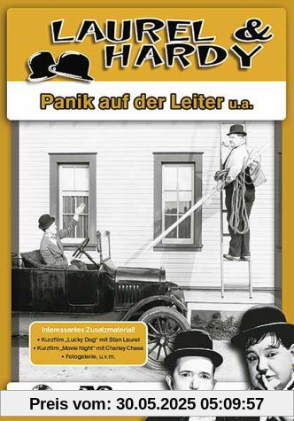 Laurel & Hardy - Panik auf der Leiter / Unschuldig hinter Gittern / Two Tars / Angora Love von James Parrott