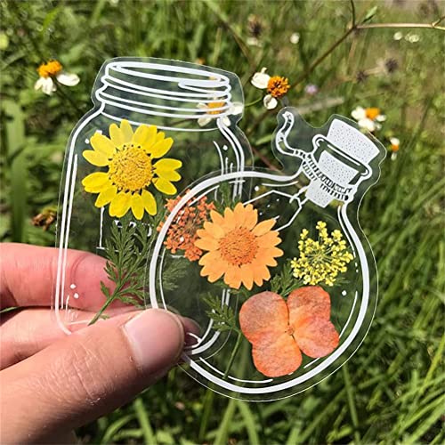 30 Prozent Transparente Getrocknete Blumenhesezeichen Hausgemachte Schöne Blumenhesezeichen DIY Trockenblüte Lesezeichen Glaswaren Aufkleber (B) von Jauarta