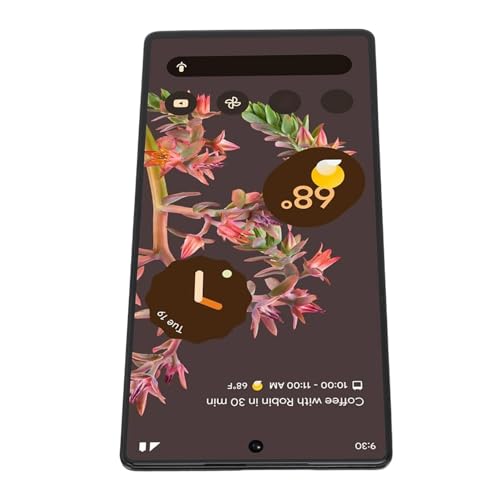 Jauarta Telefonbildschirm Ersatz Touch Digitizer Assembly Google Pixel 6 5G GB7N6 G9S9B16 Touch Display Digitizer Assembly Ersatzteile von Jauarta