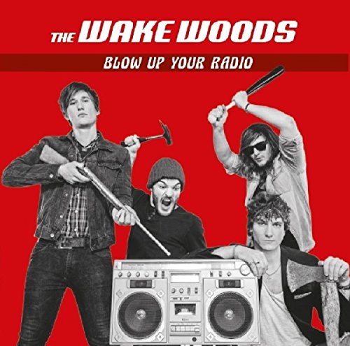 Blow Up Your Radio [Vinyl LP] von Jayfish Records (Membran)