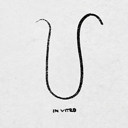 In Vitro [Vinyl LP] von Jazzlab (Broken Silence)