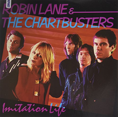 Imitation Life [Vinyl LP] von Jdc Records