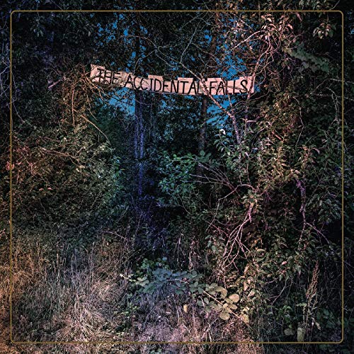 Die zufälligen Fälle [Vinyl LP] von Jealous Butcher Records