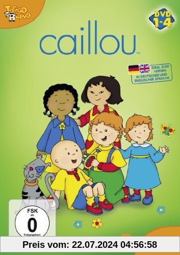 Caillou 01- 04 [4 DVDs] von Jean Pilotte