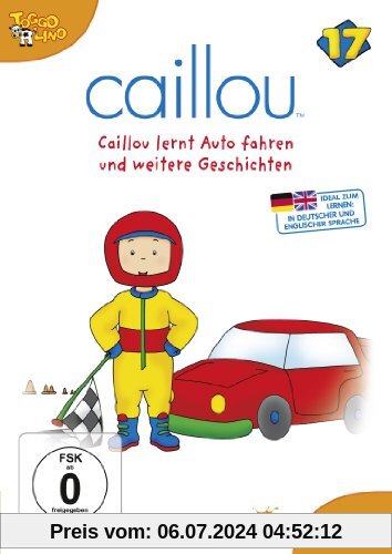 Caillou 17 - Caillou lernt Auto fahren und weitere Geschichten von Jean Pilotte