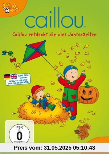 Caillou 31 - Caillou entdeckt die vier Jahreszeiten von Jean Pilotte