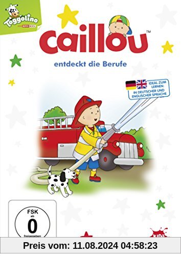 Caillou 35 - Geburtstag entdeckt die Berufe von Jean Pilotte