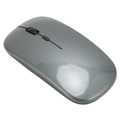 Jectse 2,4 G Kabellose USB-Maus, Präzise Kabellose Gaming-Maus für PC (Grey) von Jectse