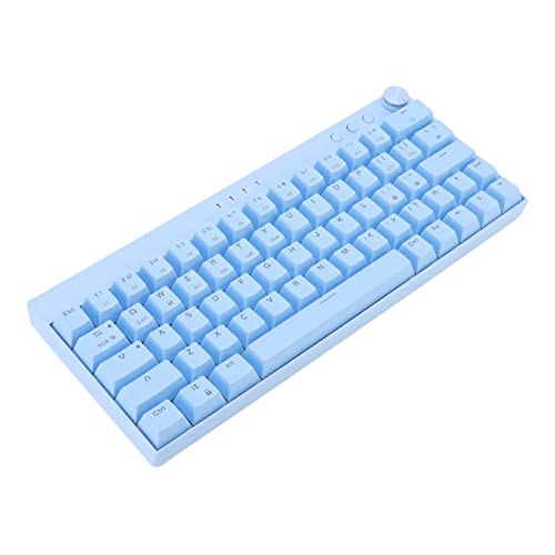 Jectse Gaming-Tastatur, 64 Tasten, Mechanische Tastatur, RGB, Ergonomisch, 3 Modi, Kabellos, 2,4 G, 3,0, 5,0, Typ C, Wiederaufladbare, Kabelgebundene Tastatur mit Knopf (Linearer von Jectse