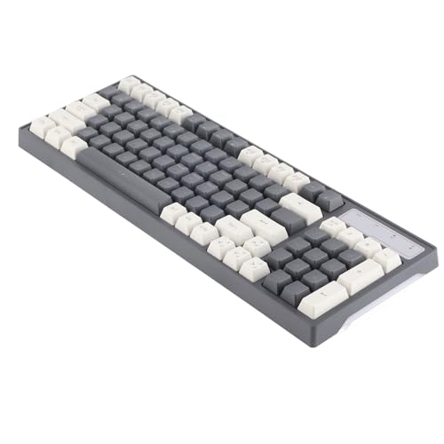 Jectse Kabellose Gaming-Tastatur, 96 Tasten, Wiederaufladbare Mechanische 2,4-G-Tastatur mit RGB-Hintergrundbeleuchtung, Ergonomisches Mechanisches Gefühl, Tastatur für (L900 Grau-weiße von Jectse