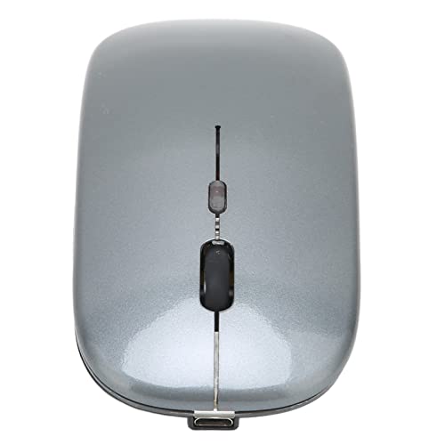 Jectse Kabellose Maus, 800/1200/1600 DPI Einstellbare Tragbare Maus mit USB-Empfänger und Kabel, Ergonomische Leise Computermaus für Laptop PC Tablet (Grau) von Jectse