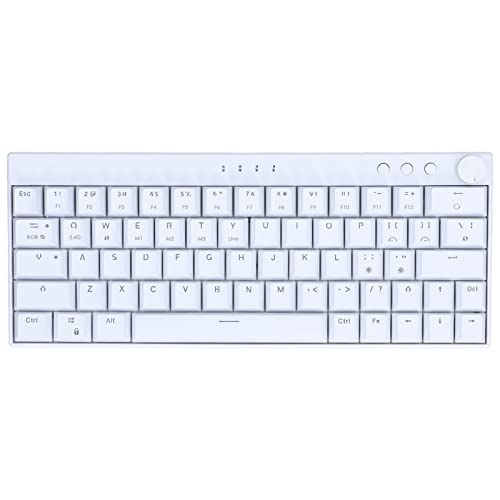 Jectse Mechanische Tastatur, 64 Tasten, RGB-Hintergrundbeleuchtung, Gaming-Tastatur, 3 Modi, Kabellos, 2,4 G, BT3.0 5,0, Typ C, Wiederaufladbare, Kabelgebundene, Ergonomische Tastatur von Jectse