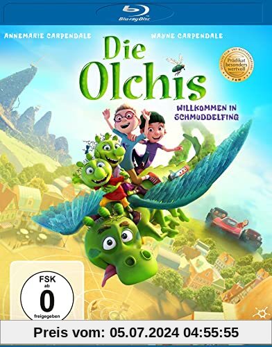 Die Olchis - Willkommen in Schmuddelfing [Blu-ray] von Jens Möller