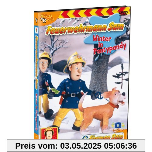 Feuerwehrmann Sam: Winter in Pontypandy (Vol. 05) von Jerry Hibbert