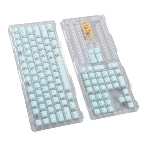 Jiawu PBT-Tastenkappen, 113 Tasten, Professionelle Mechanische Tastatur-Tastenkappen für Mechanische Tastaturen (Minzgrün) von Jiawu