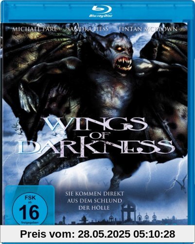 Wings of Darkness - Sie kommen direkt aus dem Schlund der Hölle [Blu-ray] von Jim Wynorski