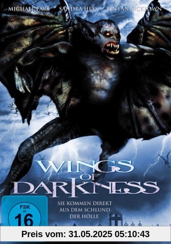 Wings of Darkness - Sie kommen direkt aus dem Schlund der Hölle von Jim Wynorski