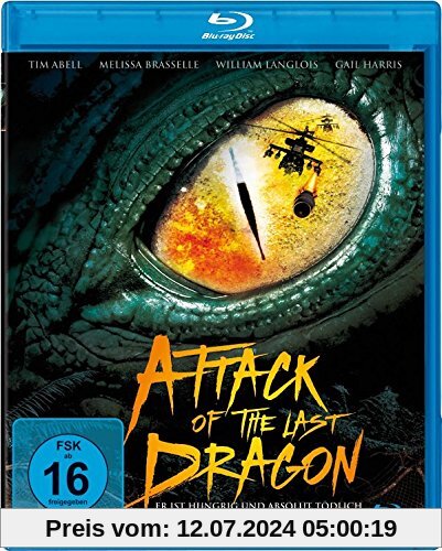 Attack of the Last Dragon [Blu-ray] von Jim Wynorsky