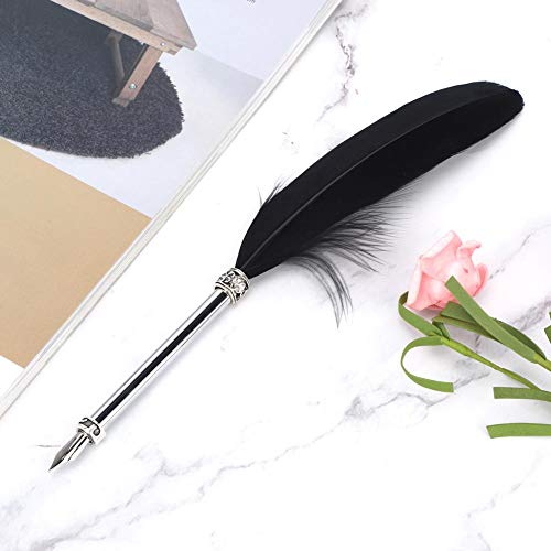 Jingyi Black Feather Dip Pen Füllfederhalter, Dip Pen, Feather Quill Pen für Office for Business von Jingyig
