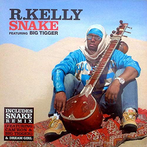 Snake [Vinyl Single] von Jive