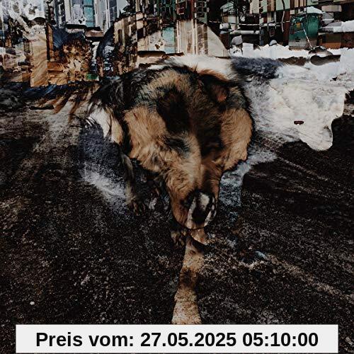 Primitive Energetics von Joe & Naiare Volk