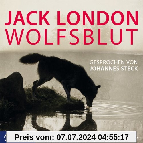 Wolfsblut von Johannes Steck