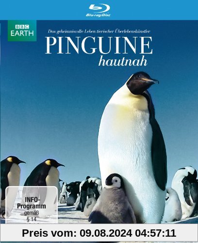 Pinguine Hautnah [Blu-ray] von John Downer