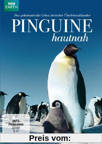 Pinguine hautnah von John Downer