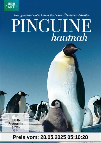 Pinguine hautnah von John Downer