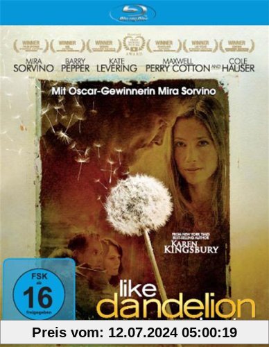 Like Dandelion Dust [Blu-ray] von Jon Gunn