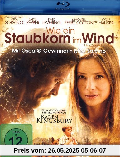 Wie ein Staubkorn im Wind [Blu-ray] von Jon Gunn