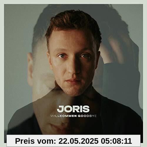 Willkommen Goodbye [Vinyl LP] von Joris