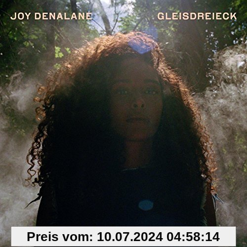 Gleisdreieck (Limited Deluxe) von Joy Denalane