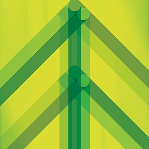 Every Direction Is North (Green Glass Vinyl) [Vinyl LP] von Joyful Noise Records