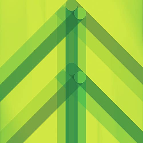 Every Direction Is North (Green Glass Vinyl) [Vinyl LP] von Joyful Noise Records