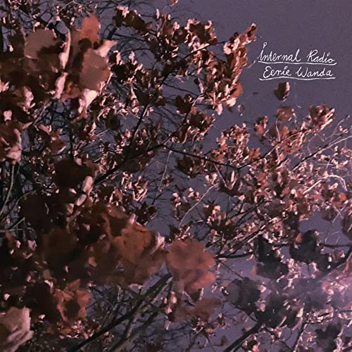 Internal Radio (Ltd.Lavender Vinyl) [Vinyl LP] von Joyful Noise Records