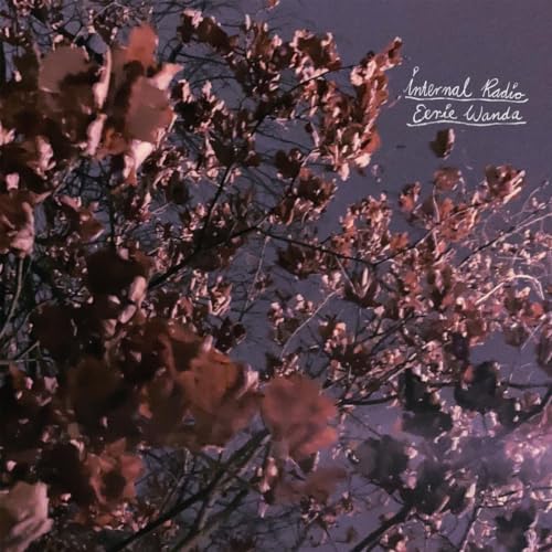 Internal Radio (Ltd.Lavender Vinyl) [Vinyl LP] von Joyful Noise Records