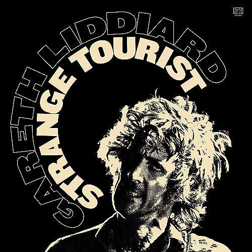 Strange Tourist [Vinyl LP] von Joyful Noise Recordings