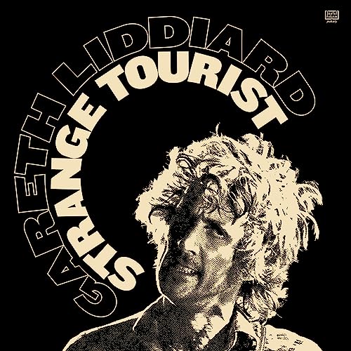 Strange Tourist [Vinyl LP] von Joyful Noise Recordings