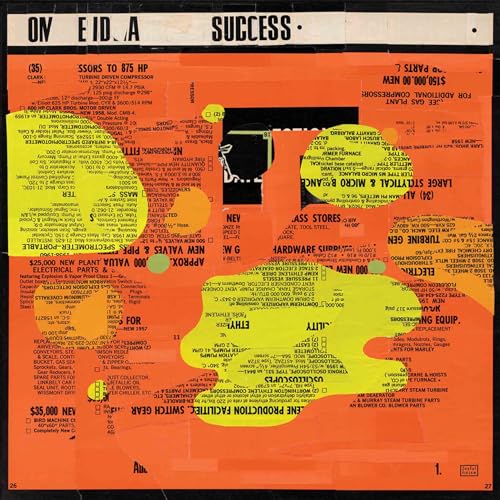 Success [Vinyl LP] von Joyful Noise Recordings
